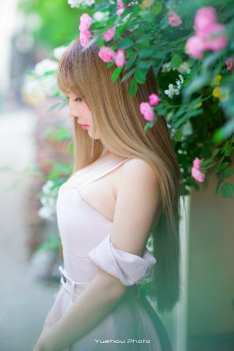1080P高清！偷香电影免费全集在线观看你知道在哪吗？